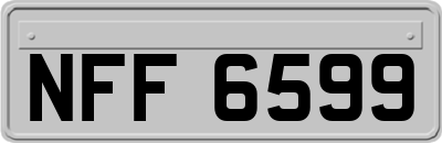 NFF6599