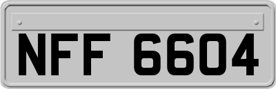 NFF6604