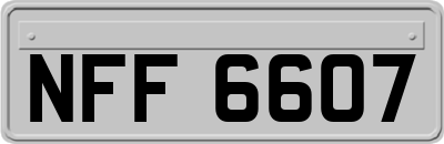 NFF6607