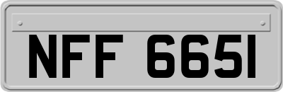 NFF6651