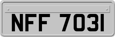 NFF7031