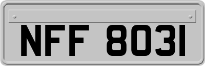 NFF8031