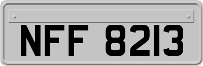 NFF8213