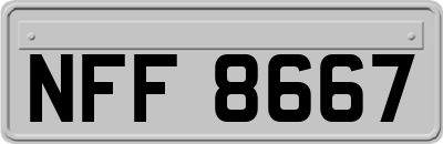 NFF8667
