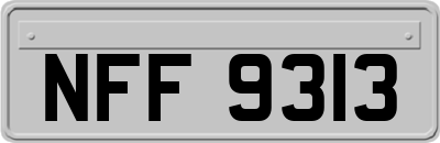 NFF9313