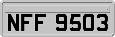 NFF9503
