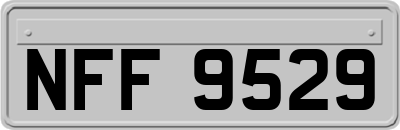 NFF9529