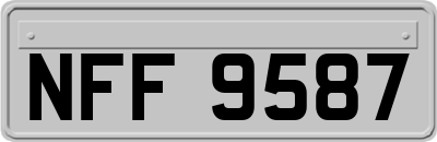 NFF9587