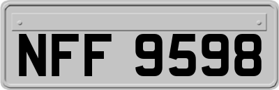 NFF9598