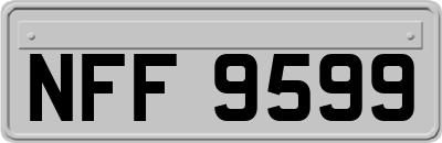 NFF9599