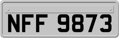 NFF9873