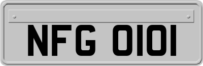 NFG0101