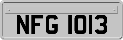 NFG1013