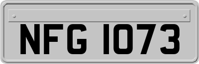 NFG1073