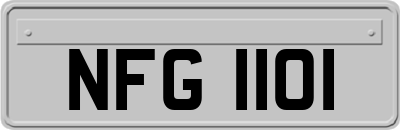 NFG1101