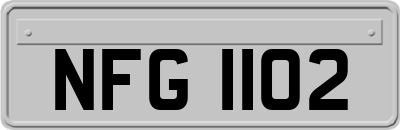 NFG1102