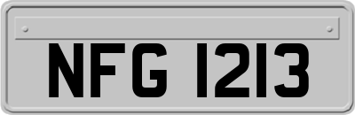 NFG1213