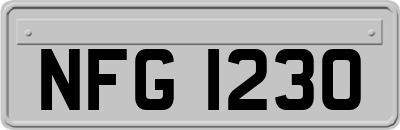 NFG1230