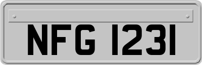 NFG1231