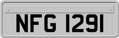 NFG1291