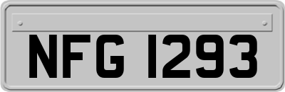 NFG1293