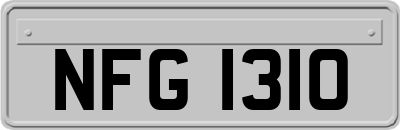 NFG1310