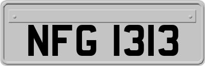 NFG1313