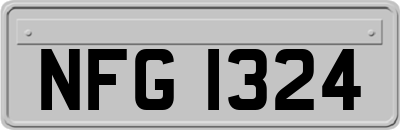 NFG1324