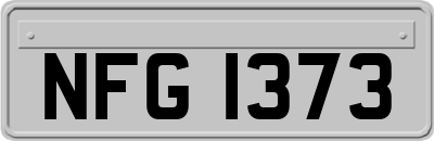 NFG1373