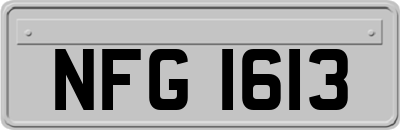 NFG1613