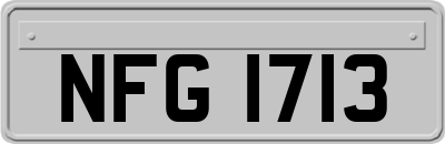 NFG1713