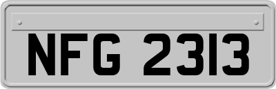 NFG2313