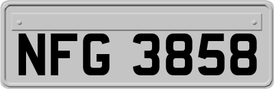 NFG3858