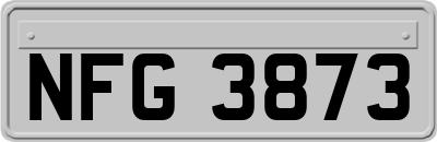 NFG3873