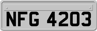 NFG4203