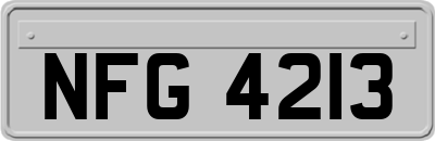 NFG4213