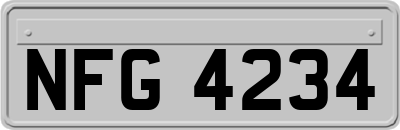 NFG4234