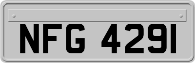 NFG4291