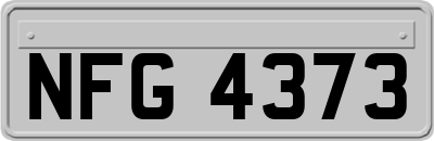 NFG4373