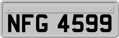 NFG4599
