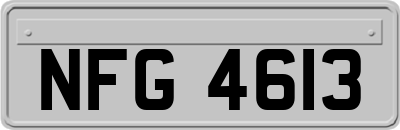 NFG4613