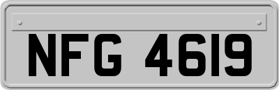 NFG4619
