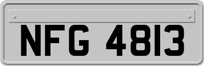 NFG4813