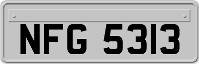 NFG5313