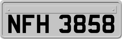 NFH3858