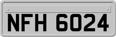 NFH6024