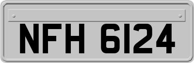 NFH6124