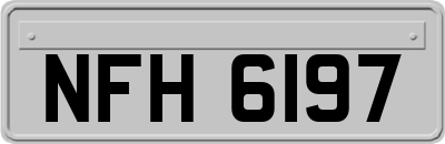 NFH6197