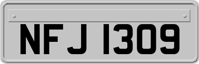 NFJ1309