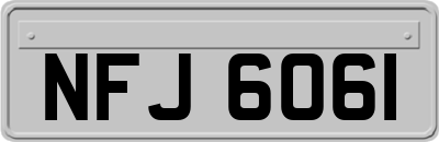 NFJ6061